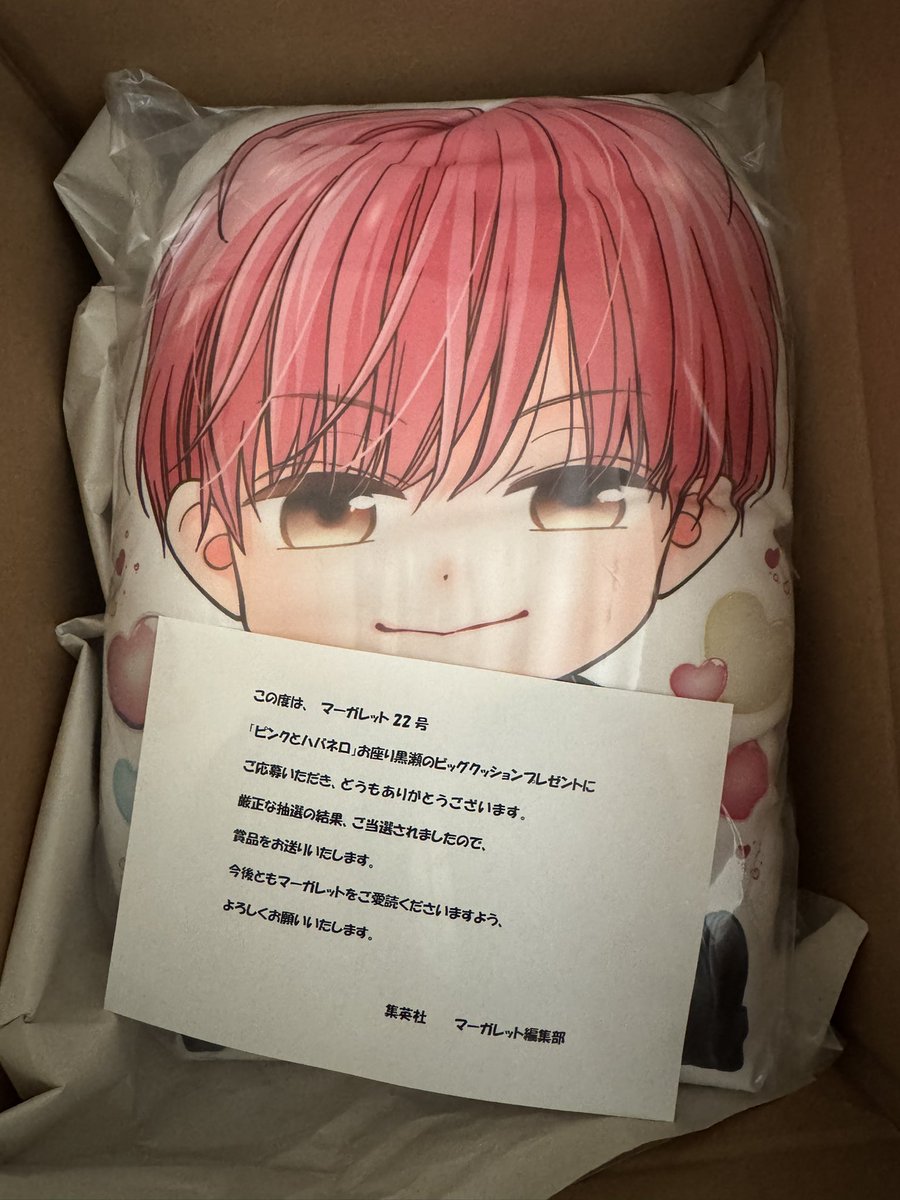 ワァー！！ お座り黒瀬のビッグクッションが届き始めたようです