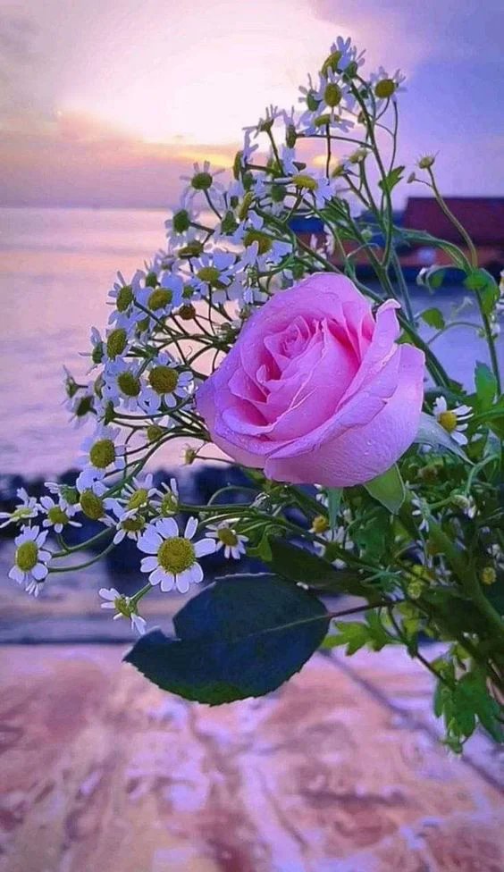 صباح الخير ، ومن عظيم لطفه أنه يراكَ مُبتسمًا فيكتبها لك أجرًا ، ويراكَ موجوعًا فيغفر لك ذنبًا ، وما بين الأجر والذنب ؛ أنت محاط بعين اللطيف دومًا وإن كنتَ لا ترى🌱 .