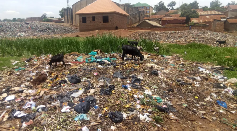 ACODE_Uganda's tweet photo. Mind set change is critical in improving waste management in Uganda.
Public attitude should change to look at waste as raw-material for further production to enhance sustainability and environmental protection.
#Wastemanagementug https://t.co/iumn1bkxtR