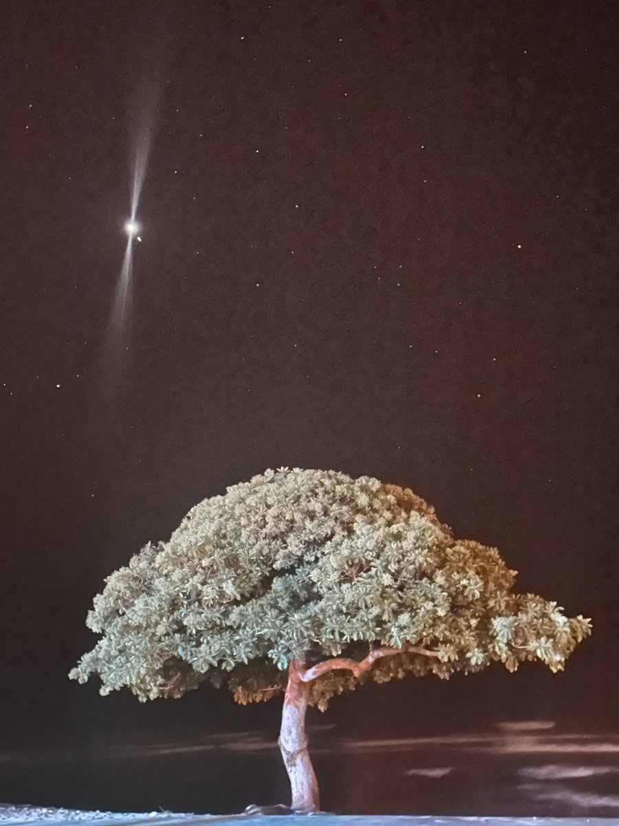 maybe gray tweet media