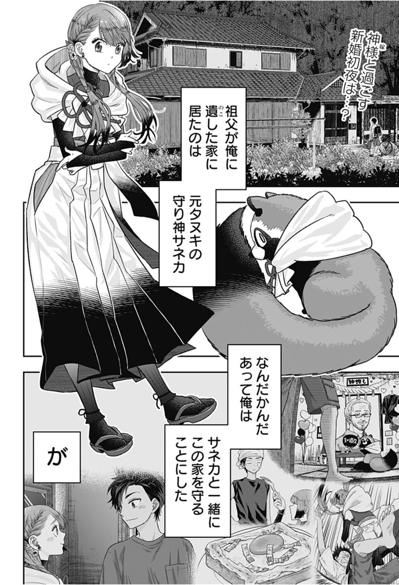 『サネカの嫁入り』2話

事故で神様のサネカと夫婦になってしまった竜彦。けれど法的に問題ないなら別に…と思っていたら神様と結婚すると、ある縛りが。更に不法侵入の神様がもう一人現れ…

ドタバタ異類婚姻譚コメディ、よろしくお願いします🌿
https://t.co/iFdVHab0fc

#ジャンププラス 