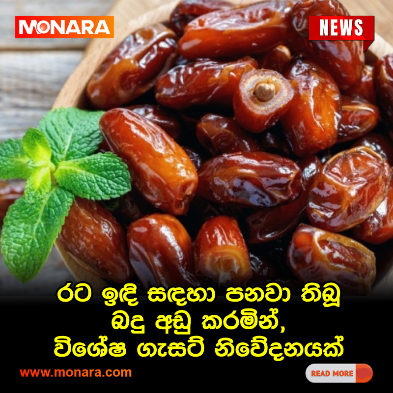 MonaraDigital's tweet photo. රට ඉඳි සඳහා පනවා තිබූ බදු අඩු කරමින්, විශේෂ ගැසට් නිවේදනයක්
වැඩි විස්තර 👉 https://t.co/a2VoWokjw7

#Monaranews #Monara #LocalNews #Srilanka #Breakingnews #trending https://t.co/nphTMlYRCM