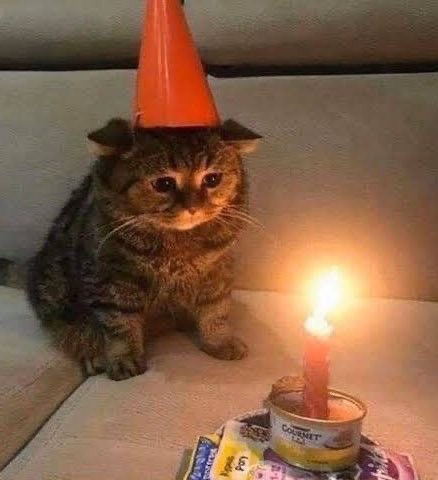 NichtMarc tweet media