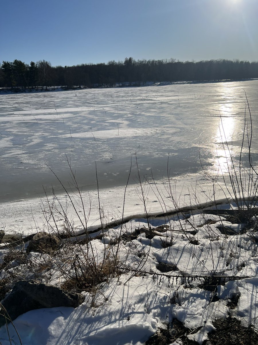 GACfan_Rodge's tweet photo. My lake is frozen!  #OhioProblems 🥶 https://t.co/BBQPWBUrS4