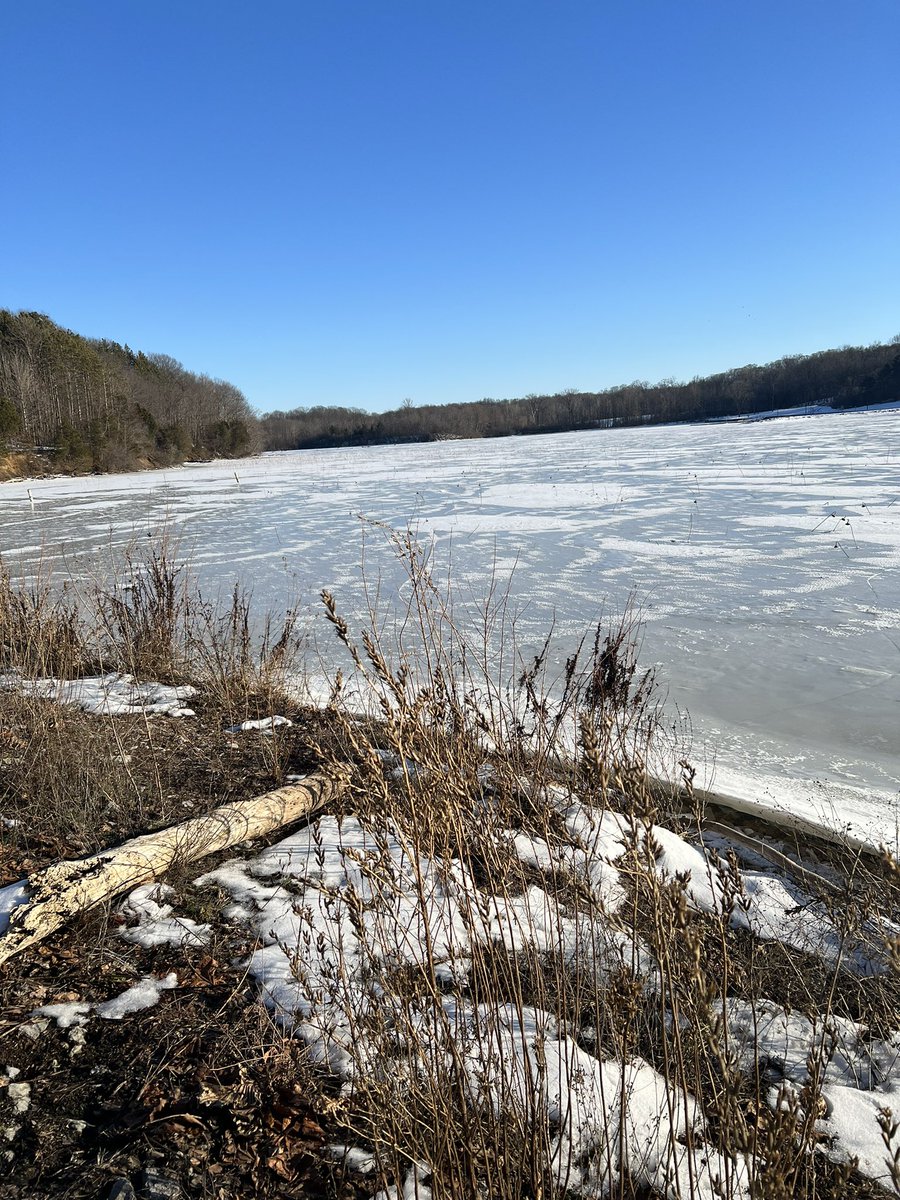 GACfan_Rodge's tweet photo. My lake is frozen!  #OhioProblems 🥶 https://t.co/BBQPWBUrS4