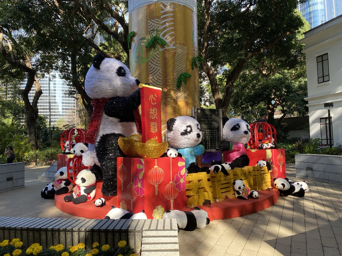webbhk's tweet image. OMG it’s the year of the Panda.