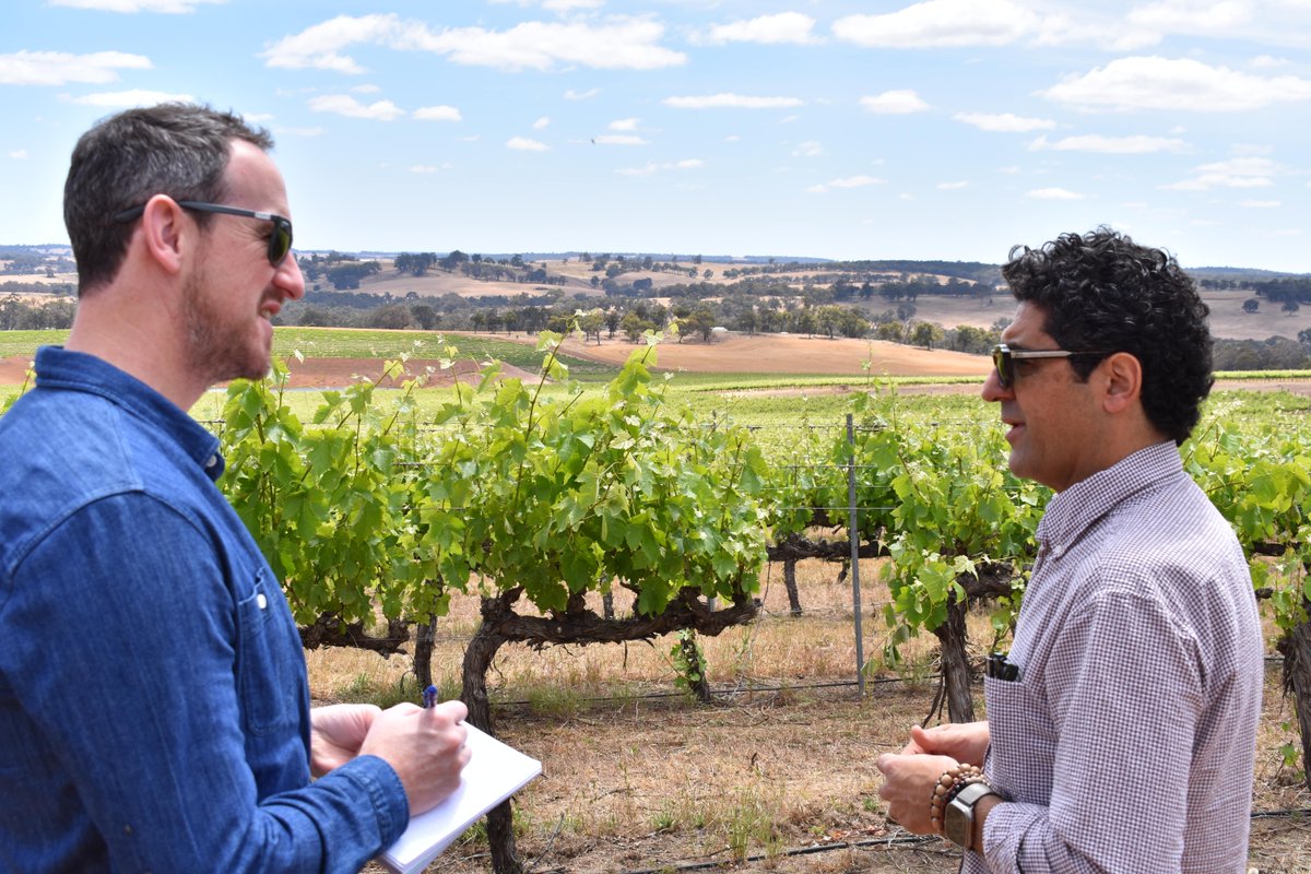 Hydra Consulting (@thehydraco) on Twitter photo Have you had the chance to listen to the latest mini-series of the Wine Blast podcast? podfollow.com/wine-blast
Shining a light on Western Australian wines, part one focuses on Great Southern. It's well worth your time!
<a href="/wineschools/">Peter Richards MW</a> Have you had the chance to listen to the latest mini-series of the Wine Blast podcast? podfollow.com/wine-blast
Shining a light on Western Australian wines, part one focuses on Great Southern. It's well worth your time!
<a href="/wineschools/">Peter Richards MW</a>