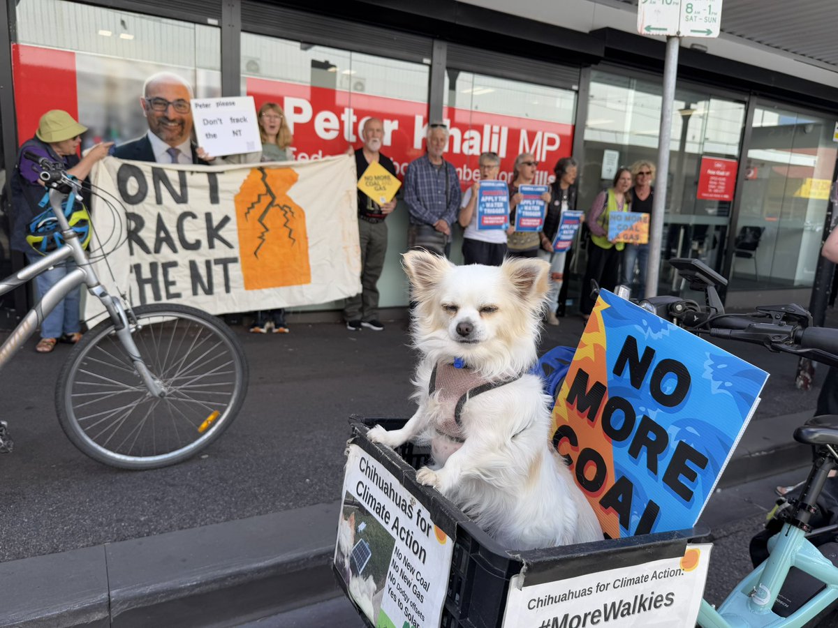 Climate Act Merri-bek (formerly Moreland) (@camoreland) on Twitter photo Even the chihuahuas helped Deliver #Beetaloo #fracking scientific report to <a href="/PeterKhalilMP/">Peter Khalil MP</a> :
“Peter Khalil,
don’t be a dill,
Act bigger,
use the Water Trigger”
Cc: <a href="/tanya_plibersek/">Tanya Plibersek</a> <a href="/AlboMP/">Anthony Albanese</a>
climateactionmerribek.org/2025/01/22/bee…
#DontFracktheNT #Climatejustice
#JulietandJones
#ClimateCrisis Even the chihuahuas helped Deliver #Beetaloo #fracking scientific report to <a href="/PeterKhalilMP/">Peter Khalil MP</a> :
“Peter Khalil,
don’t be a dill,
Act bigger,
use the Water Trigger”
Cc: <a href="/tanya_plibersek/">Tanya Plibersek</a> <a href="/AlboMP/">Anthony Albanese</a>
climateactionmerribek.org/2025/01/22/bee…
#DontFracktheNT #Climatejustice
#JulietandJones
#ClimateCrisis