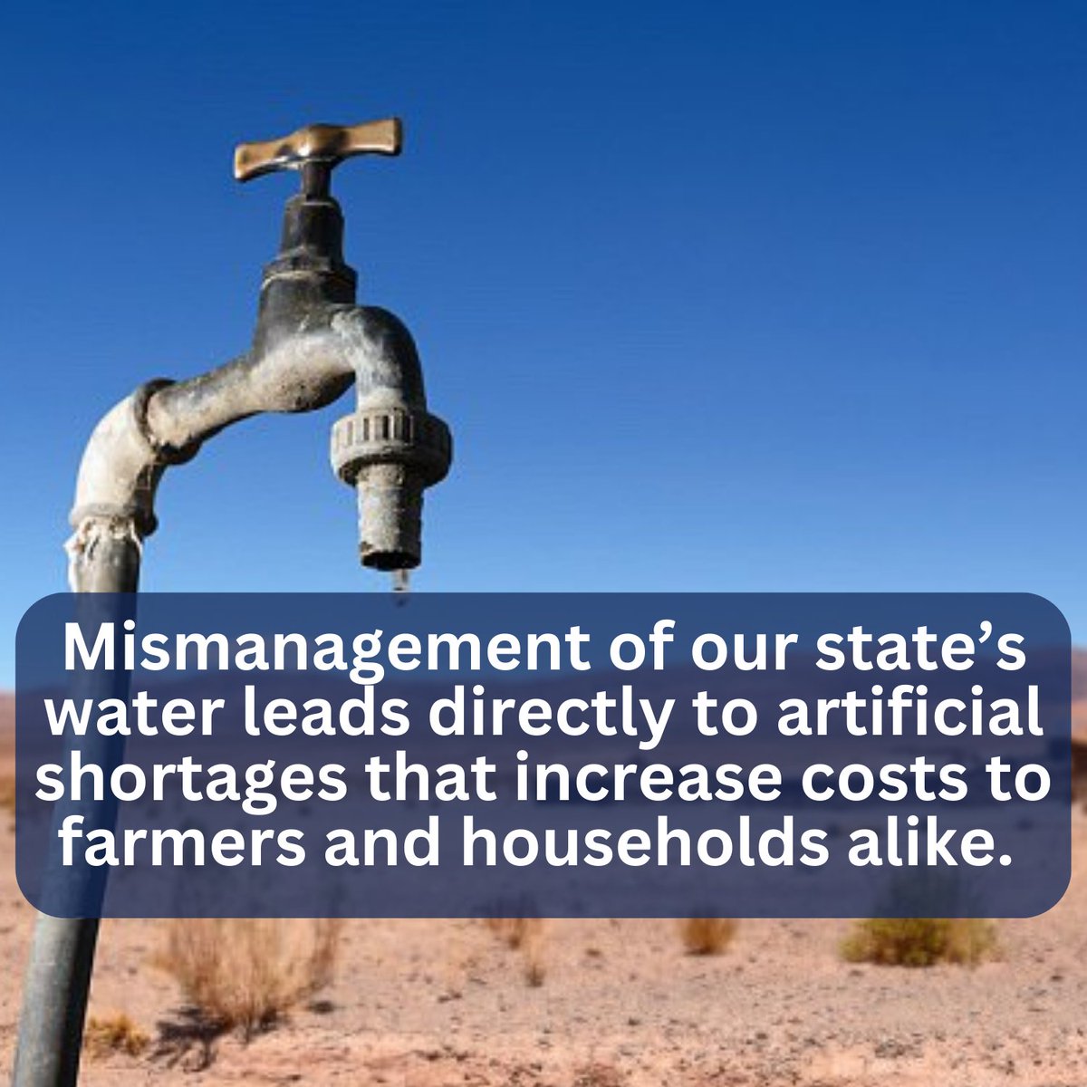 Senator_Hurtado's tweet photo. Artificial water shortages make CA unaffordable. Our farmers &amp; families deserve reliable water access, &amp; #SB224 will fight to make that a reality for the #CentralValley &amp; all Californians #TransparencyinWater. More to come soon on this pivotal water management policy! https://t.co/J0fIRvyd5h