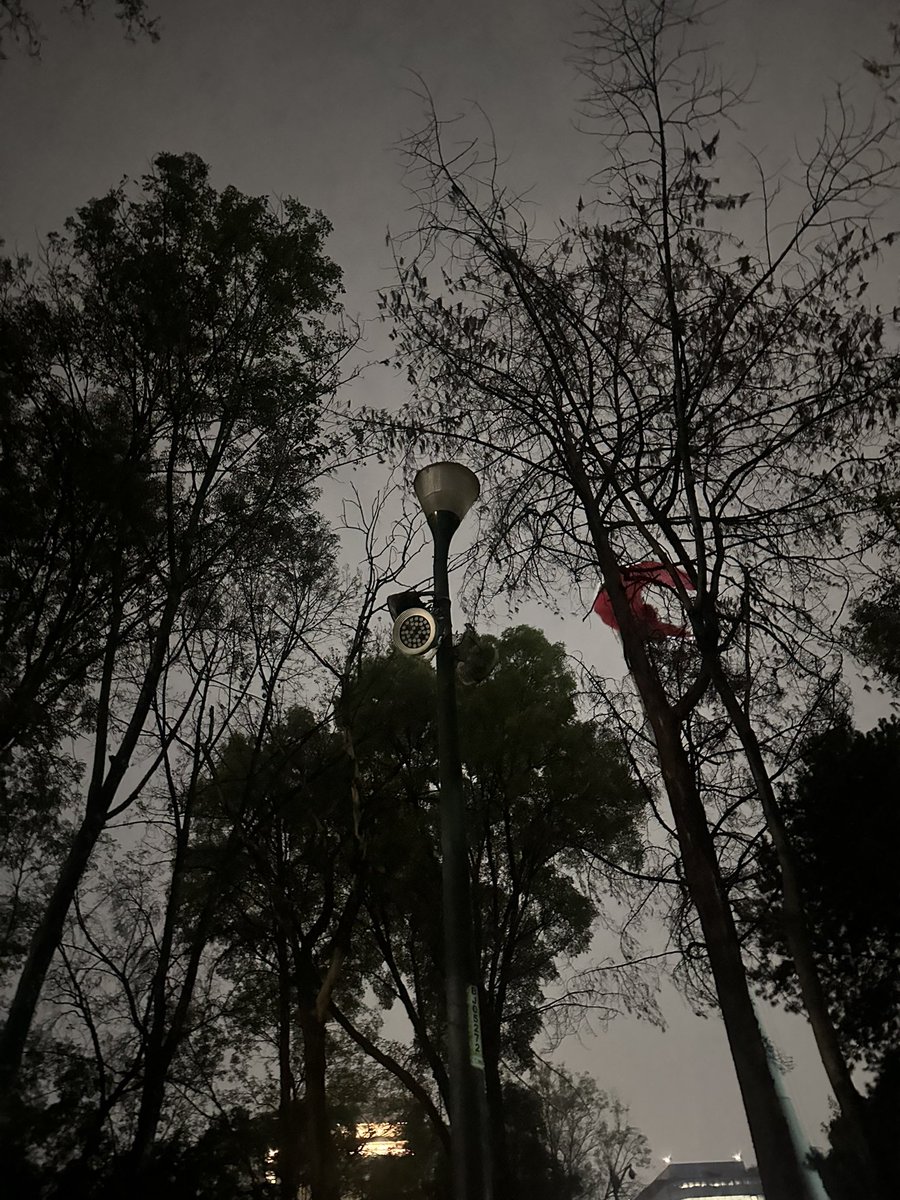 fanathierry's tweet photo. @AccionesBJ @BJAlcaldia @LuisMendozaBJ por lo menos 11 luminarias del @parquehundido no funcionan. Queremos luz en nuestro parque 🫶🏼 Adjunto evidencia. https://t.co/zgudLMFFGh
