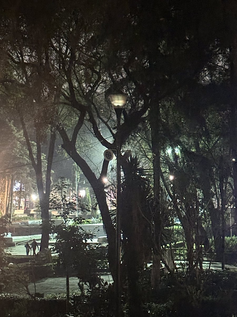 fanathierry's tweet photo. @AccionesBJ @BJAlcaldia @LuisMendozaBJ por lo menos 11 luminarias del @parquehundido no funcionan. Queremos luz en nuestro parque 🫶🏼 Adjunto evidencia. https://t.co/zSuR69gpgF