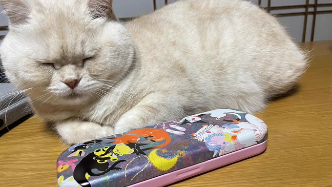 去年買いそびれたアンジュジュの缶ケース入りチョコ!毎年柄が違うから楽しみなのよね～。 