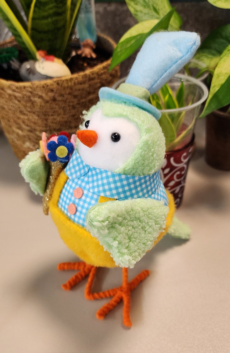 KayRoseBee's tweet photo. 27 January 2025
027/365
Dapper little fellow 🐦
💙
#Project365 #photooftheday #bird #birb #springbird https://t.co/32JsV83P9j