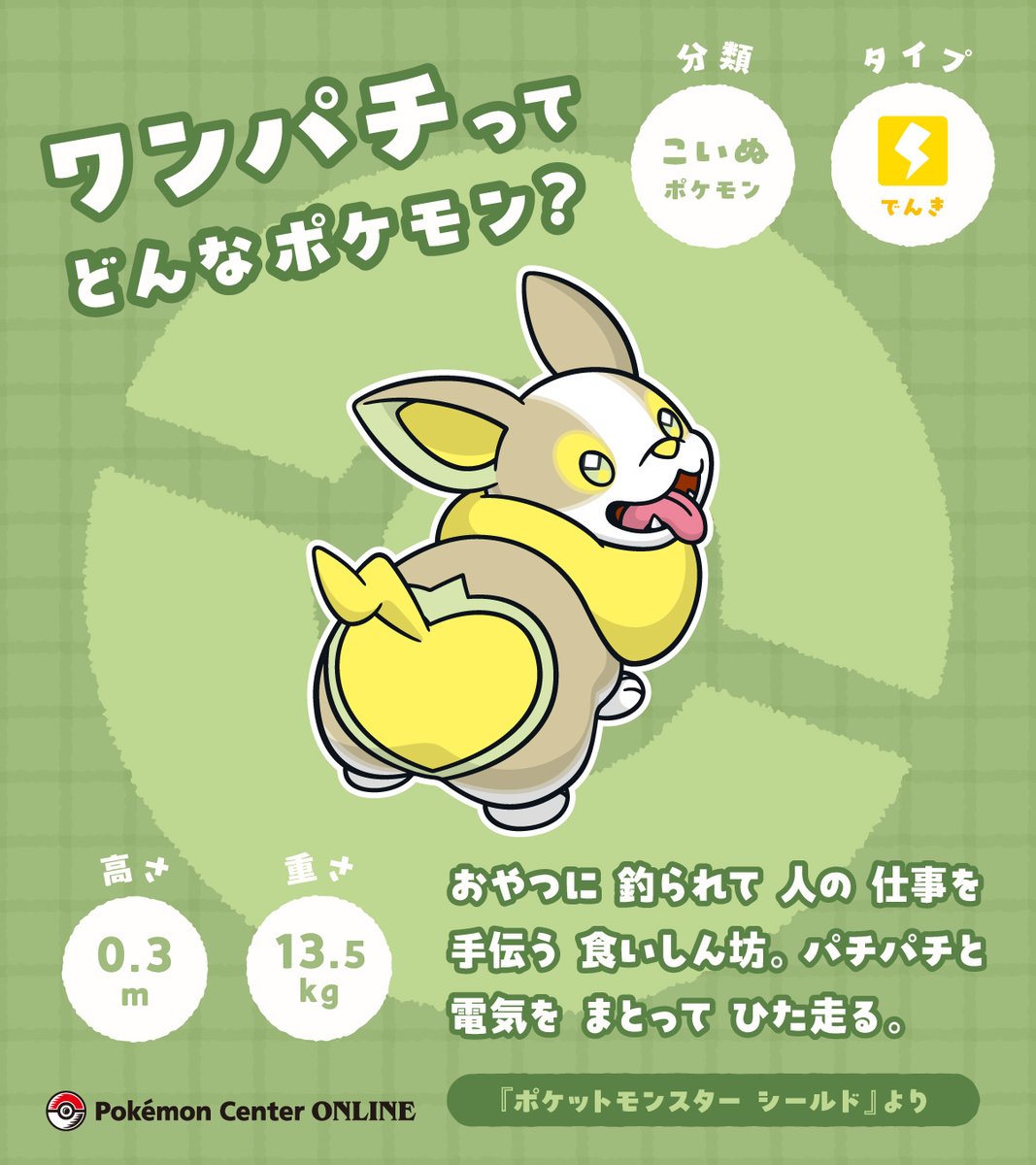 ポケモンセンターオンライン から、ワンパチのグッズを紹介！ キミの