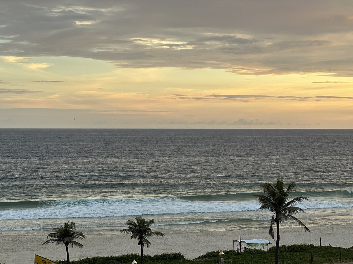 Megan Griffiths tweet media