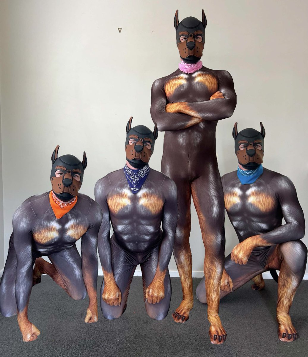 PupSox's tweet photo. Pack mentality https://t.co/VuiVDnHCw2