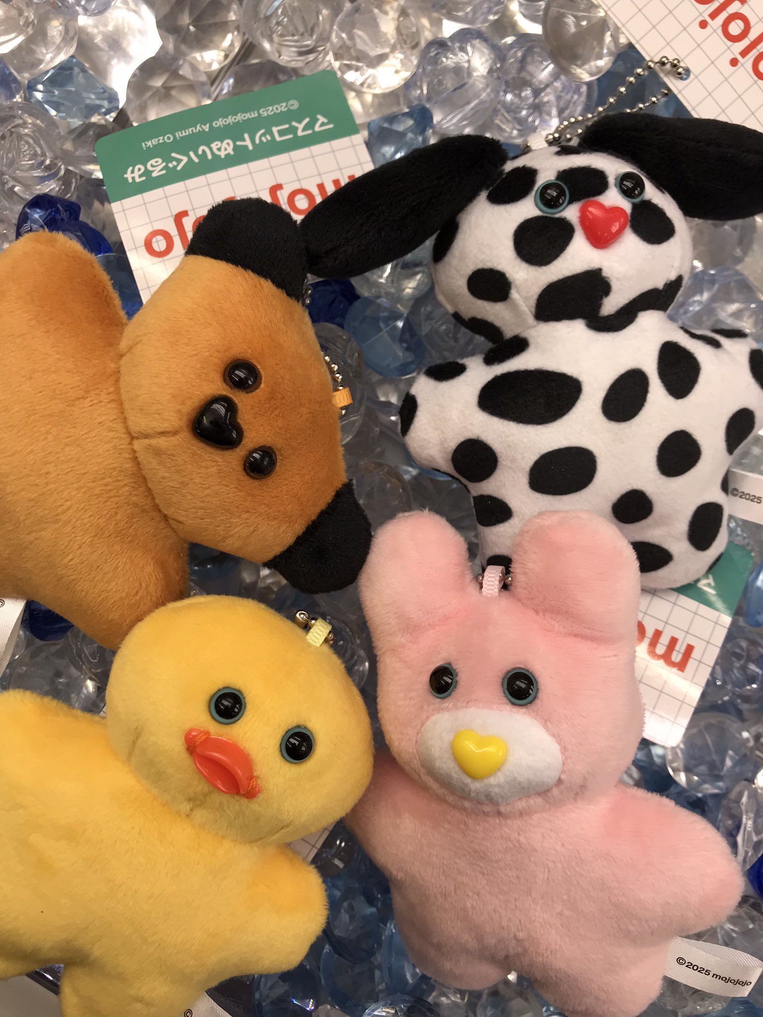 狸小路店 JOYLAND on X: 