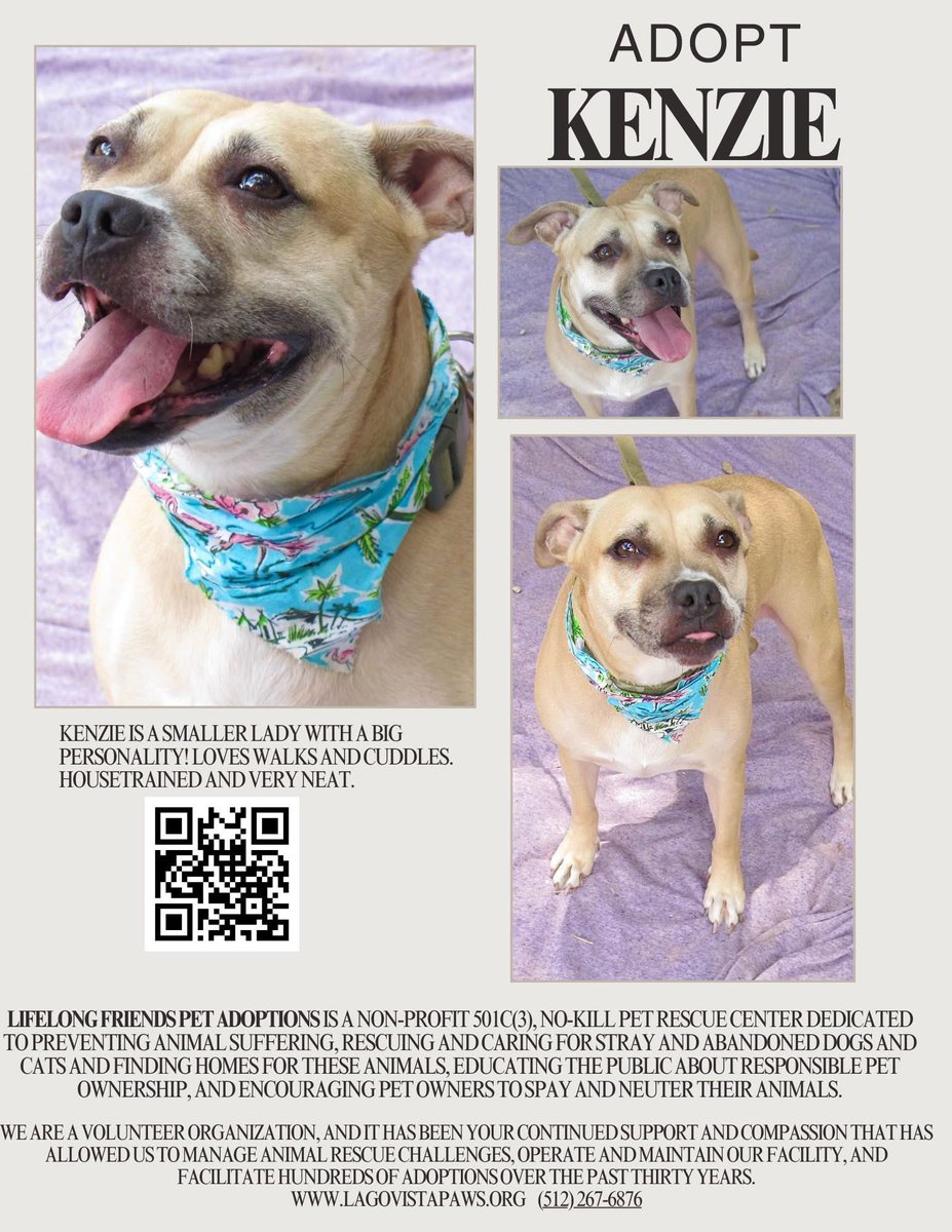 Stop by tomorrow and support the Lago Vista Gifted and Talented Passion Project. They are collecting donations for Lifelong Friends. 
Meet special guest Kenzie. She is a long stay shelter dog still waiting for a family.