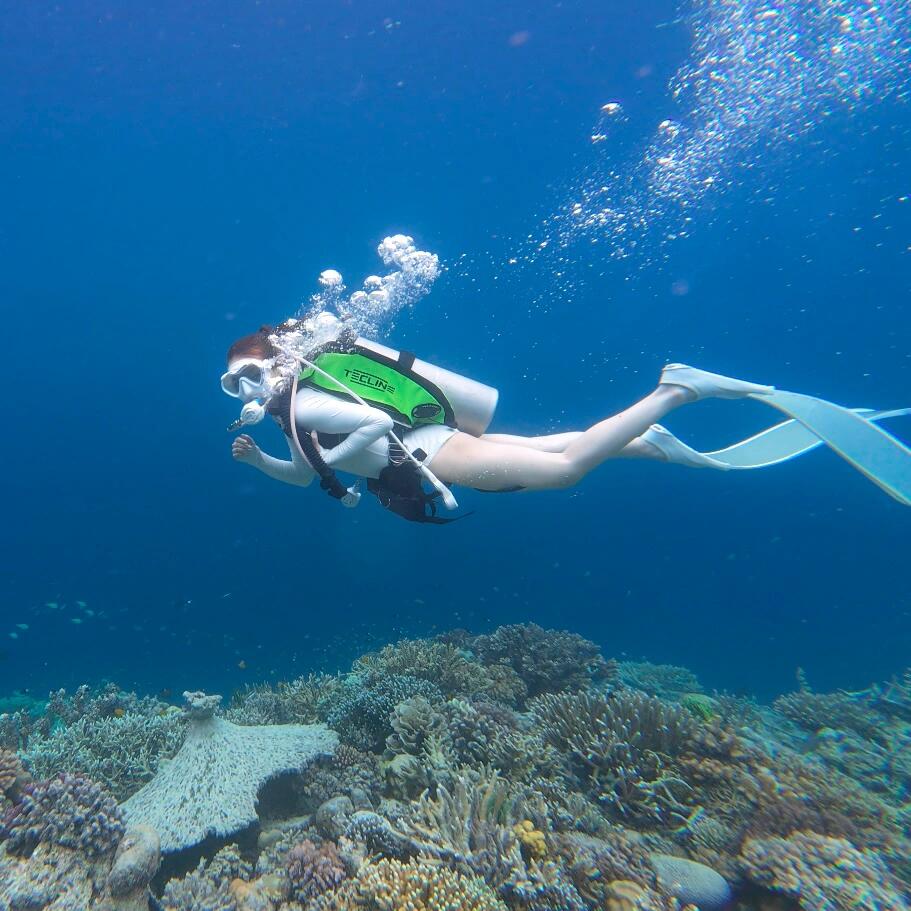Cuddle_Bear_'s tweet photo. Glass Sea #Semporna #Mataking Free Diving https://t.co/H3IuFAN3NP