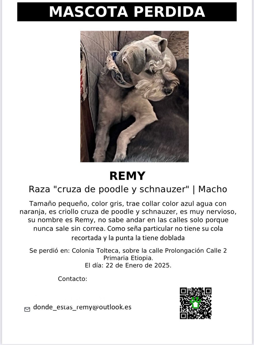 morales_jeral's tweet photo. @inakimanero @inakimanero me ayudas a compartir por favor? 🙏🏻

Se extravió en CDMX, junto a la alcaldía @AlcaAO (parque de la juventud) https://t.co/0V3DW4gZND