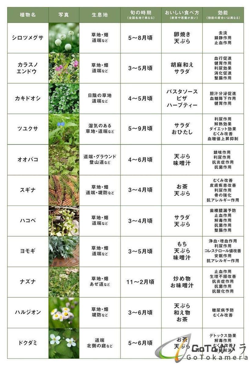 shizenbito_'s tweet photo. 食べれる野草たち
基礎の基礎編
都会でも田舎でもどこでも目にする野草たち。

農家さんの大敵ですが、
全部栄養価も高く、
色んなお料理に使えて、
美味しく食べれます。 https://t.co/tbBTEnOmMr