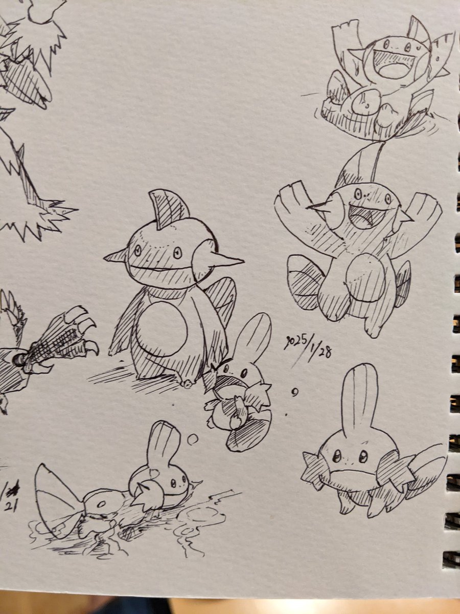 ミズゴロウ ヌマクロー アルファサファイアの相棒だった 進化して得も言えぬ表情になって複雑な気持ちになりました 草四倍弱点もなんか微妙だった カキカキ。 