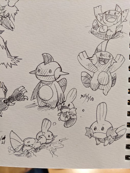 ミズゴロウ ヌマクロー アルファサファイアの相棒だった 進化して得も言えぬ表情になって複雑な気持ちになりました 草四倍弱点もなんか微妙だった カキカキ。 