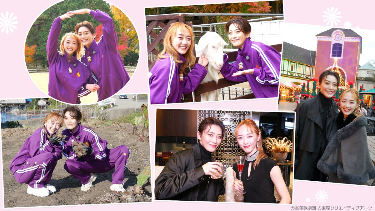 skystage_info's tweet photo. 【ともたび。#7】
同じ組の仲良しが、共に旅めいた時間を楽しむロケ番組「ともたび。」。第7回は、花組102期の侑輝大弥と105期の初音夢が“神戸”で動物と触れ合い、里芋掘りに挑戦したりします。ふたりが漂わせる極上の”ほわほわ”感に癒やされる今回の旅🎵 初回放送は明日10日(月)20:30～必見です‼️ https://t.co/RnmC9xZHcX