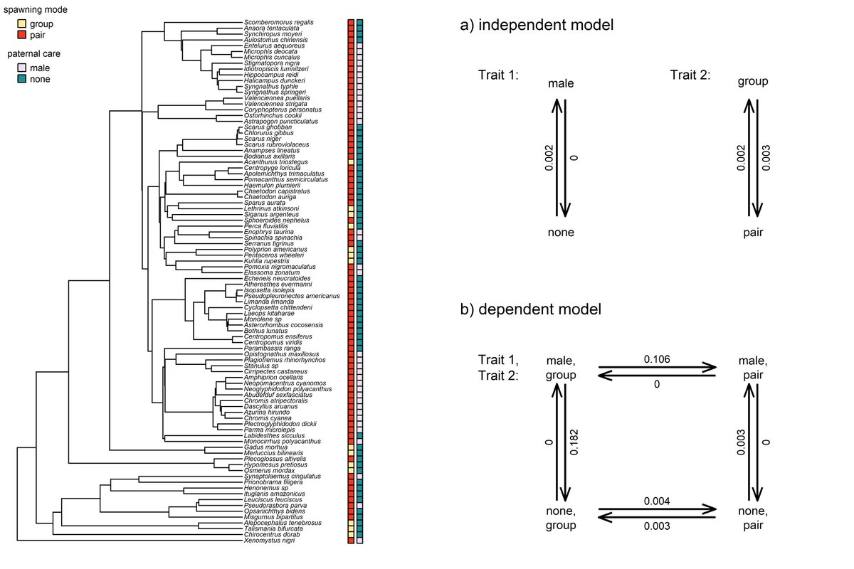 Liam Revell tweet media