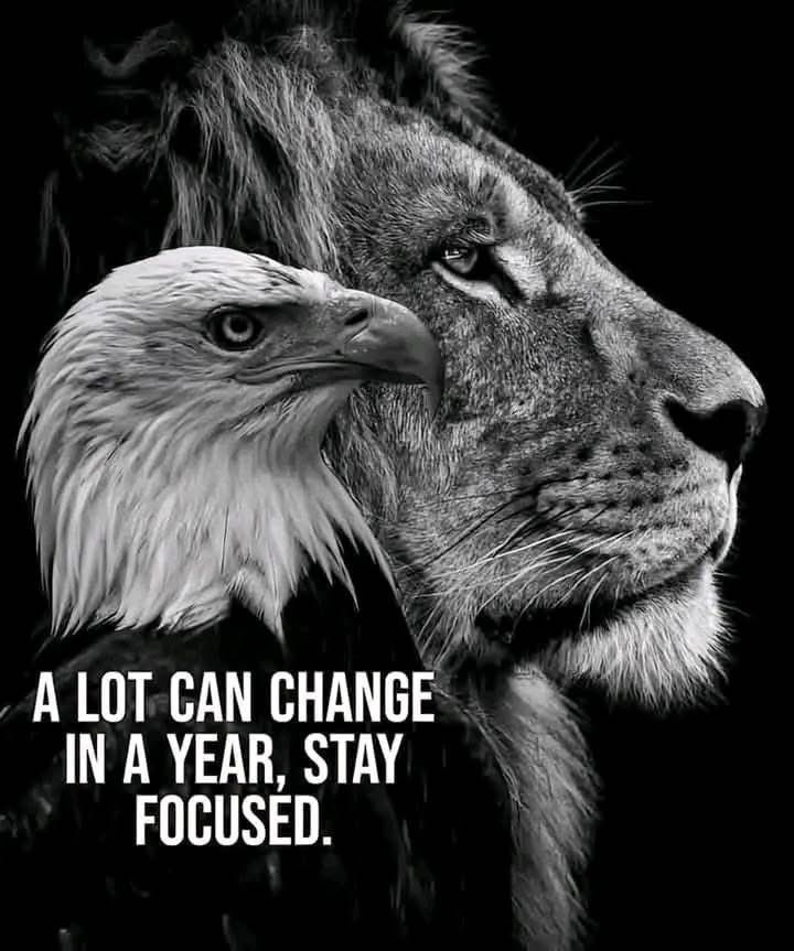 D (@dandale) on Twitter photo 