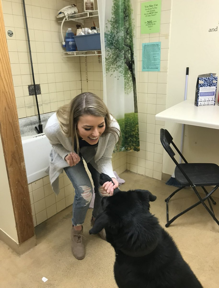 KirstenKrull's tweet photo. 6 years ago today, I met and adopted my best friend 🤍🥹 https://t.co/K3nd4XfaZt