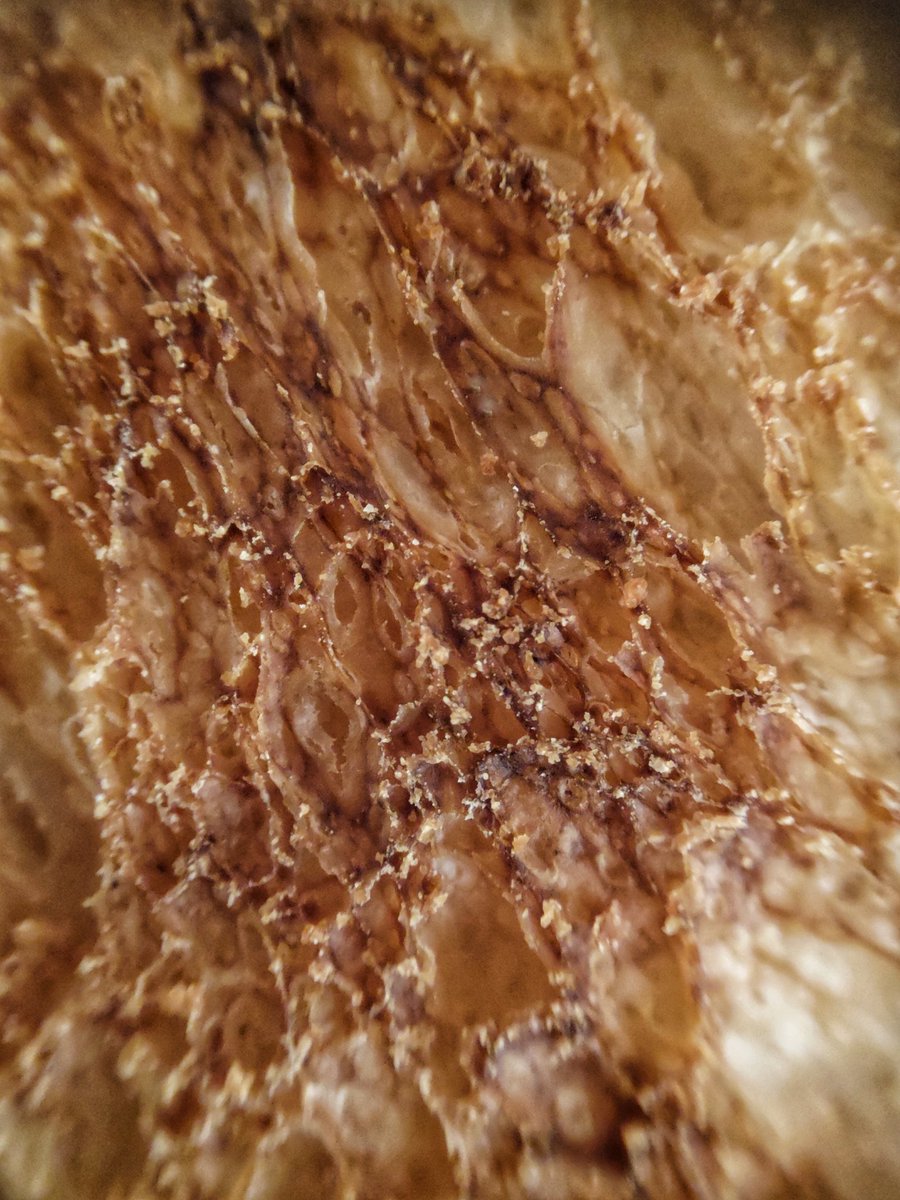 kimmaylou's tweet photo. 027/365: YEAH TOAST!
Sourdough Toast
01.27.2025
#toast #yeahtoast #sourdough #photooftheday #photoaday #photography #aywmc #aywmc365 #aywmc270125 #macro https://t.co/qsCVkDy61D