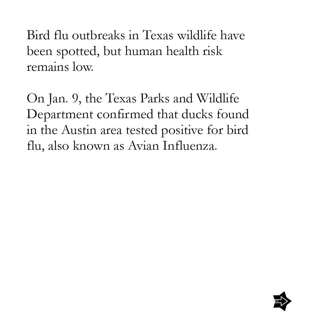 UniversityStar's tweet photo. Head to https://t.co/fSBJtePOML to read the full story.
#UniversityStar #TXST #SMTX #HaysCounty #StudentJournalism #StudentMedia #texas #news #texasstateuniversity #sanmarcos https://t.co/RAi1vIiXKG