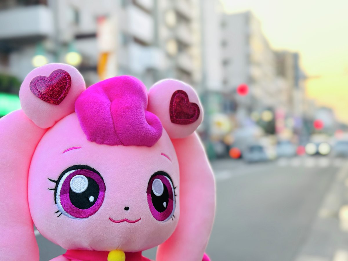 🌇.*・ﾟ このあいだ、ハチュピンと新大久保に遊びに行ってきたよ