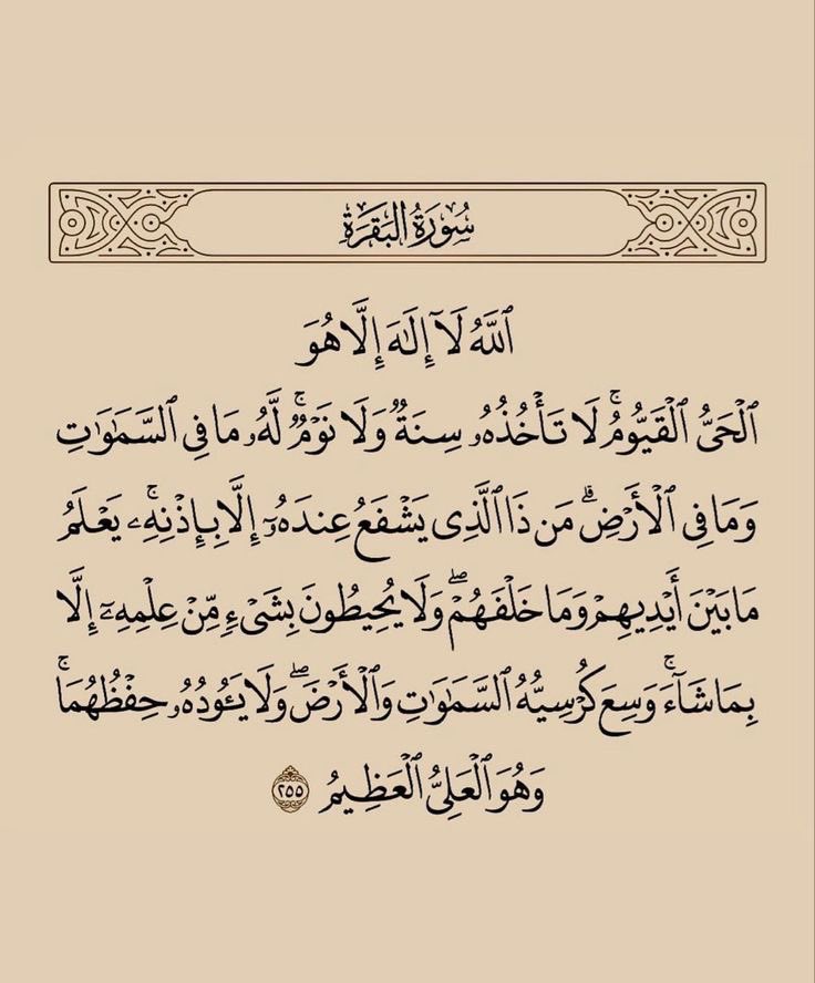 ,,🦌,,ِ tweet media