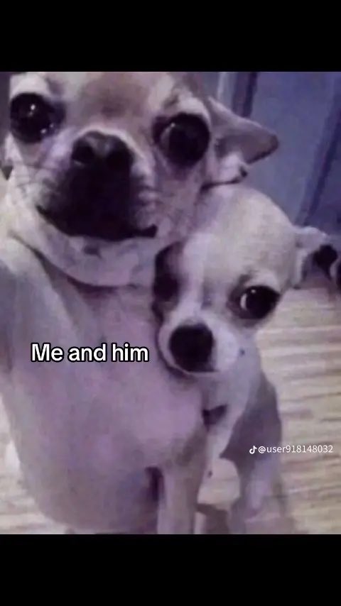 ︎ ︎ ︎ ︎ ︎ ︎ ︎ ︎ ︎ ︎ ︎ ︎ ︎ ︎ ︎ ︎ ︎ ︎ ︎ ︎ ︎ ︎ ︎ ︎ ︎ ︎ ︎ ︎ ︎ ︎ ︎ ︎ ︎ ︎ ︎ ︎ ︎