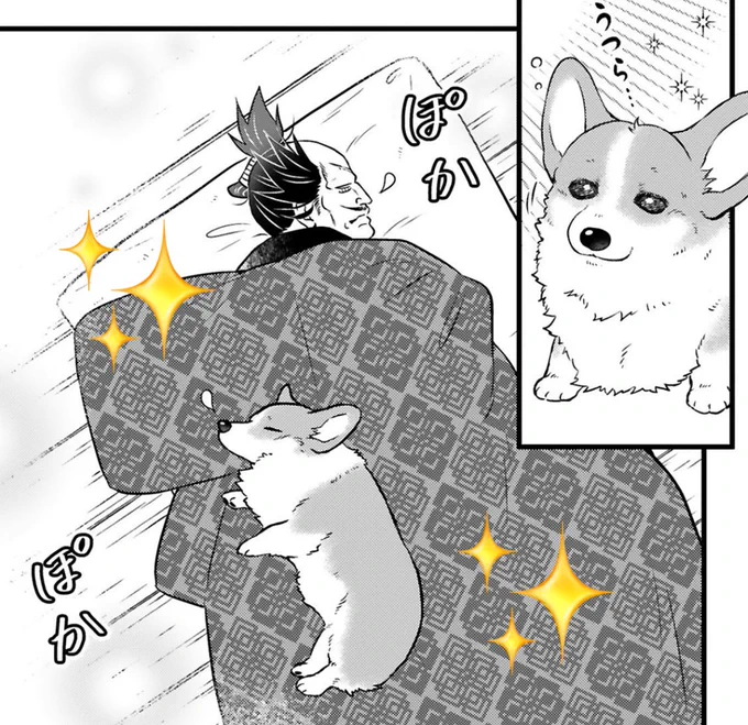 寒い日もぬくぬく

#殿と犬🐶 