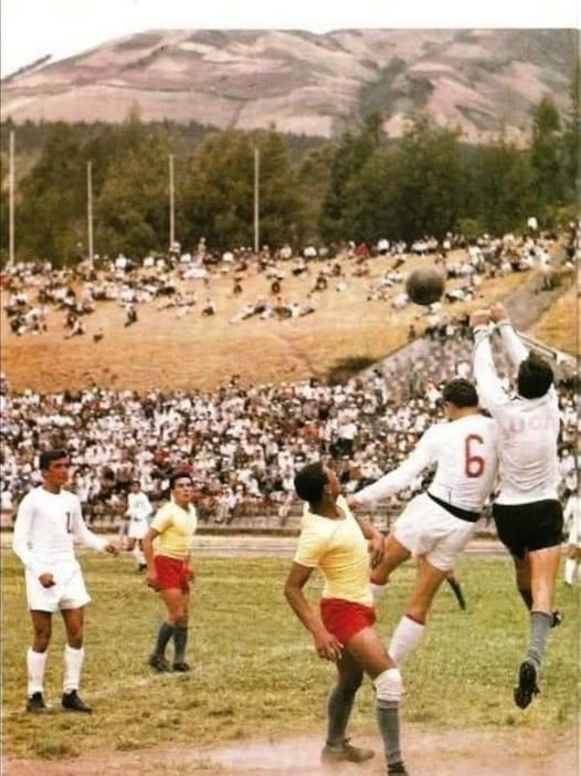 Quitoen360 tweet media