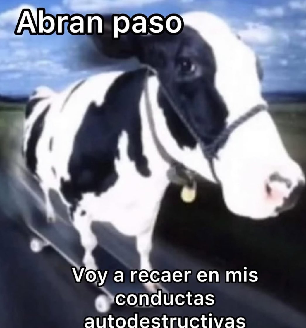 conoloracigarro's tweet photo. https://t.co/BeFYCFGRdv