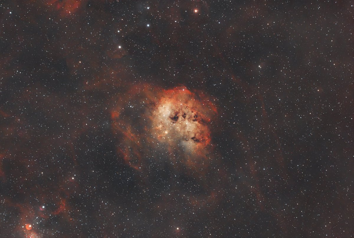 IMZLO-Zach tweet media