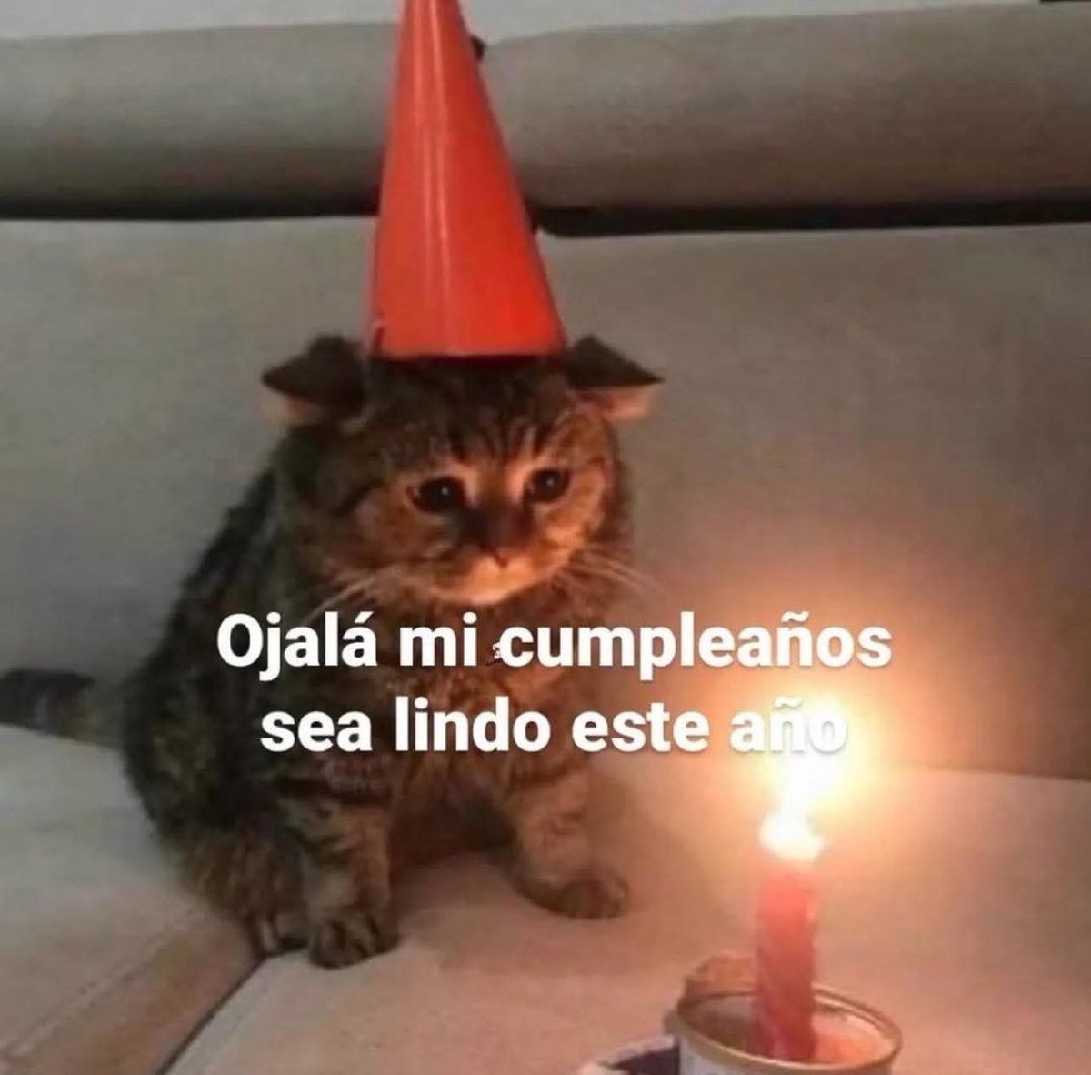 Huesca2398's tweet photo. Definitivamente, no será como el año pasado, el cual valoro, agradezco y atesoso con mucho cariño, sin embargo, mientras tenga a mis pilares conmigo, se que estaré bien y eso lo hace significativo https://t.co/e28X4EQR0R