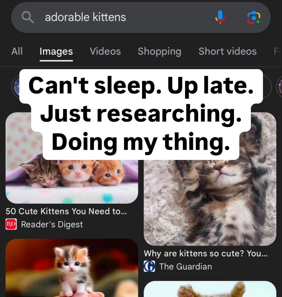 Cat Posted tweet media