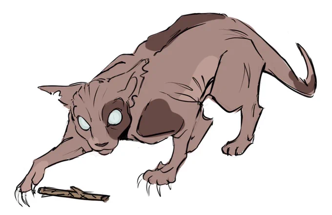 chat do we still fw the sketchy warriors designs 