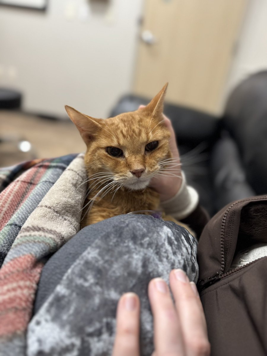 Dan Emmons 王 tweet media