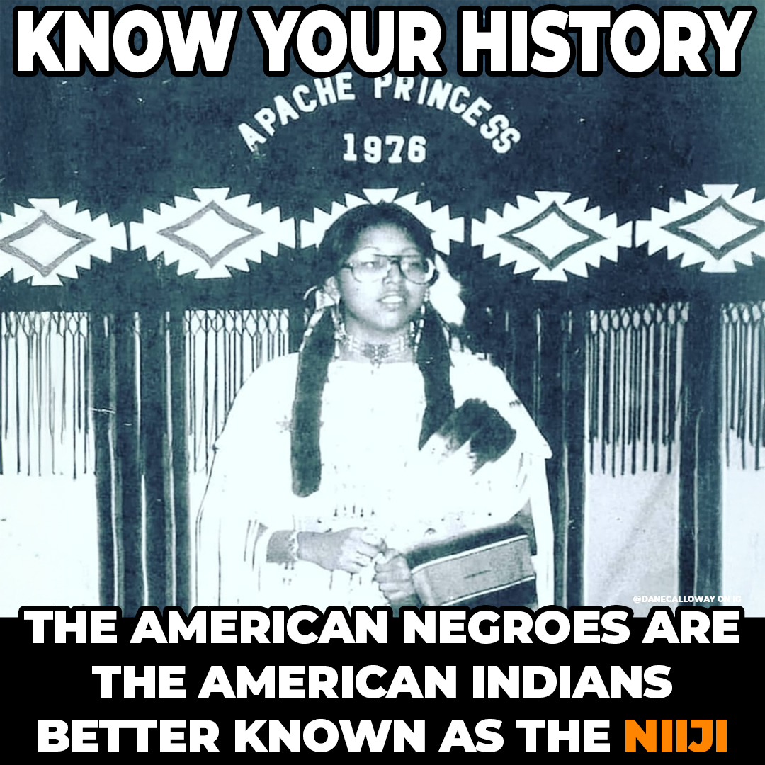 DaneCalloway_'s tweet photo. Some so-called black Americans are upset because other so-called black Americans are becoming aware of their family's Indigenous American bloodline and have confirmed that they're not African or European at all. The American Negro is the American Indian.

"You're Indigenous to this land, you're not a visitor!" - Dane Calloway

#niiji #danecalloway #ijhtmyt #imjustheretomakeyouthink #13percent #indigenous #original #americanindian #indian