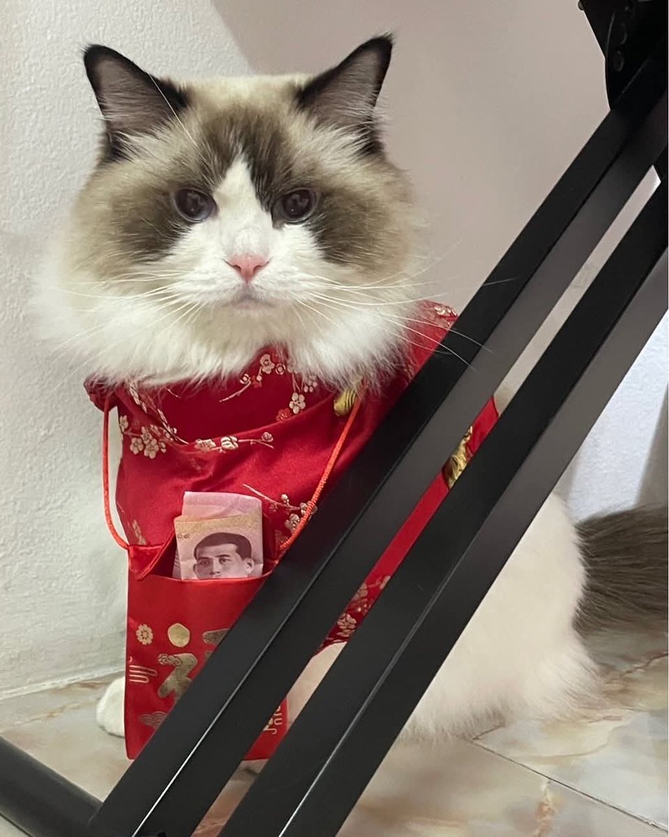 whitebinbw's tweet image. 5555555555555555555555 เตรียมอั่งเปาพร้อมแจกแล้วค่ะ 

#Amemeow 
#bbrightvc @bbrightvc