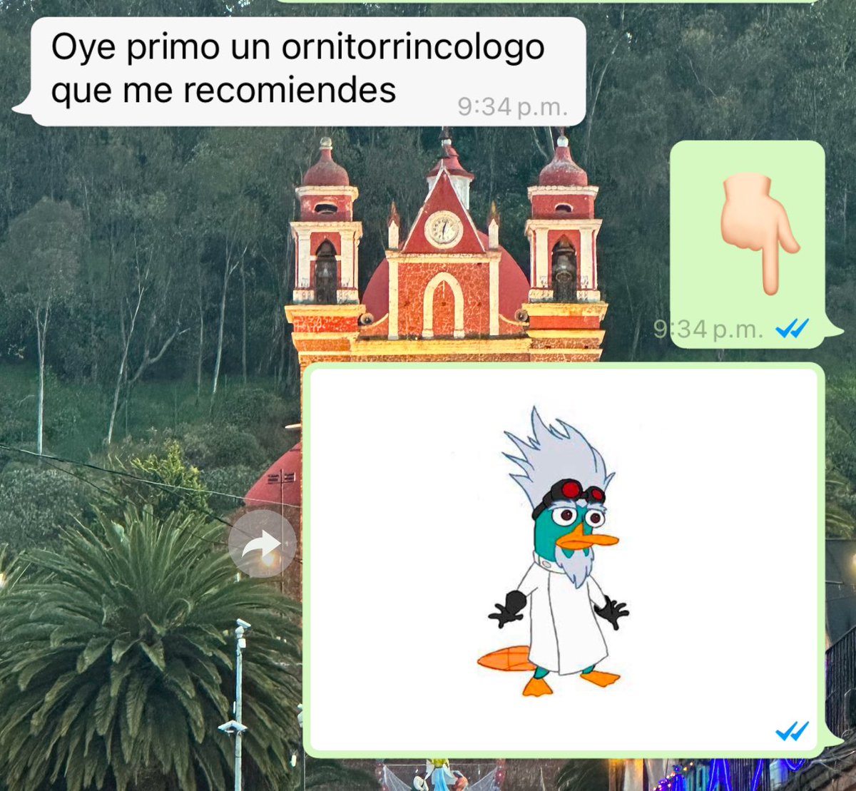𝕰𝖑 𝖒é𝖉𝖎𝖈𝖔 𝖆𝖒𝖆𝖗𝖌𝖆𝖉𝖔 (@med_amargado) on Twitter photo 