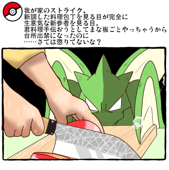 ポケモンとの日常 ストライクVS新品の包丁
#ポケモンと生活 