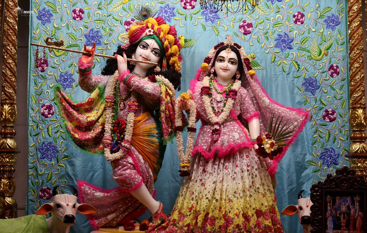 ISKCONPune's tweet photo. 🌷Mangal Arati Darshan🌷🗓28/01/2025🙏🚩@ISKCONNVCCPune🚩
.
.
#ISKCONNVCC #ISKCONPune #ISKCONNVCCPune #ISKCON
#kumbhmela2025 #kumbhmela #Prayagraj
#PrayagrajMahakumbh2025 #28thjanuary #28thjanuary2025
#Tuesday #Harinaamsankirtan #Radheshyamdas #Radheradhe
#Sankirtan #Kirtan https://t.co/yYgiMs5klS