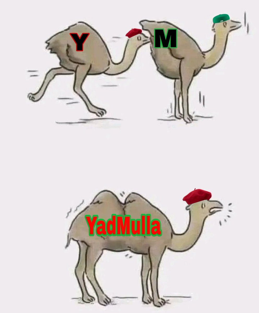 देश में प्रतिभाशाली युवाओं की कमी नहीं है, Hat's off 🥴🫡